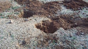 Sift soil to find Data Creek quartz