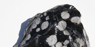 Cristobalite Snowflakes within obsidian