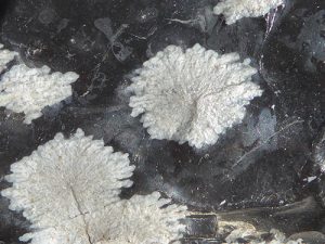 Cristobalite spherules