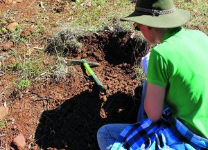 Shallow digging