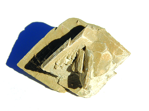 Glauberite pseudomorph1 Glauberite pseudomorph1