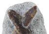 staurolite penetration twin