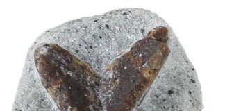 staurolite penetration twin