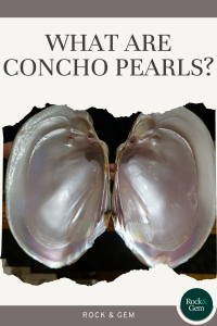 what-are-concho-pearls