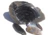 Conchoidal fracture in obsidian resembles