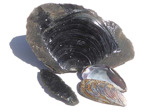 Conchoidal fracture in obsidian resembles