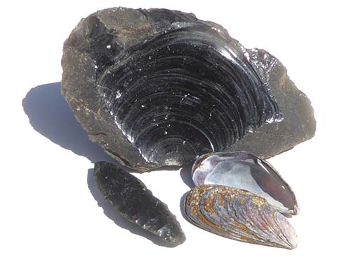 Conchoidal fracture in obsidian resembles Conchoidal fracture in obsidian resembles