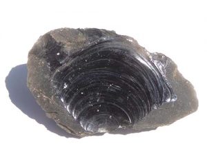 Conchoidal fracture in obsidian.