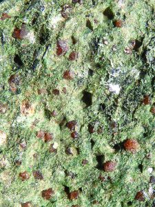 Eclogite closeup