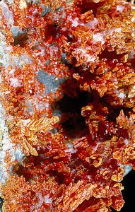 Vanadinite fro Grey Horse mine