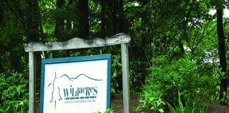 Wildacres