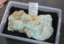 Cripple Creek Turquoise & Burtis Blue Nugget of Cripple Creek turquoise on display for sale.