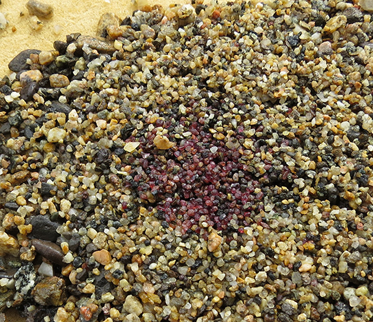 Screen of garnet-bearing pay dirt