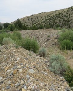 Dredge tailing windrows