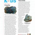 40_R&GKids0619.indd