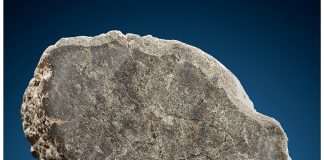 Martian Augite Basalt Meteorite