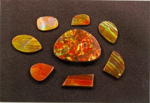 Ammolite sample