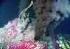 Ocean black smoker geysers