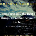 Come forth into the light of things, let nature be your teacher.