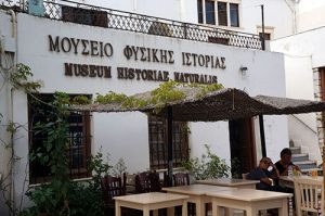 Natural History Museum of Naxos