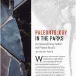 26-33_Paleontology0819.indd