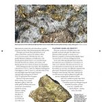 28-34_Platinum0919.indd