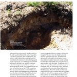 60-67_TimberwolfQuartz_1019.indd