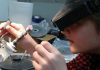 Nadine focused on faceting