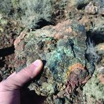 North Organ Mountains