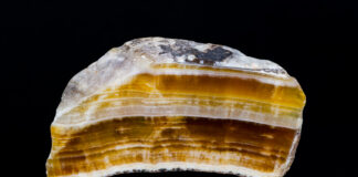 Cut polished aragonite gemstone with reflection on black background. Close-up of beautiful yellow, brown and white striped cross-section of mineral from Hridelec near Nova Paka in Czechia. Mineralogy.