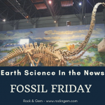 Earth Science In the News: Fossil Friday