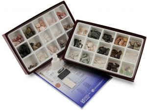 15pcs/Set Rocks and Minerals Collection Earth Science School Teaching Tool 