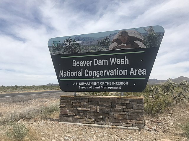 BeaverDamWash