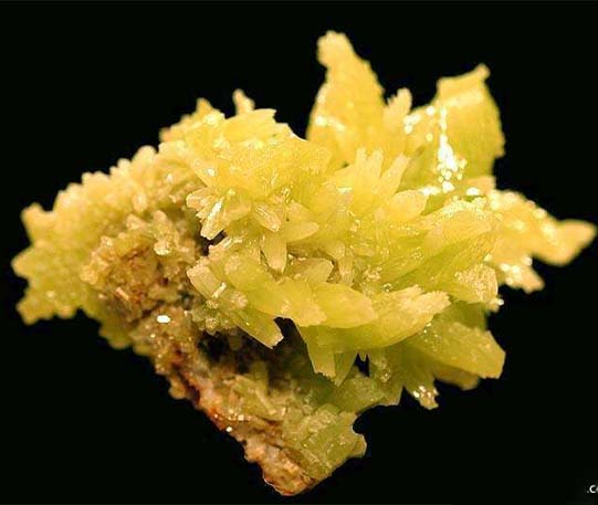 PyroHead