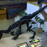 The Road Report: New Mexico — The Tyrannosaur State