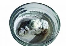 Popcorn Rock: Learn How to Grow Aragonite Crystals bowl of white popcorn rock