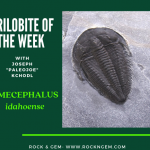 Wellsville Mountains Tie to Trilobites