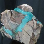 Turquoise: Fingerprinting Origins