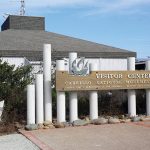 The Road Report: Shell Treasures at Cabrillo National Monument