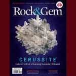 Issue Highlights: February 2021