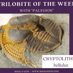 CRYPTOLITHUS Body Design Reveals Possible Filtration System