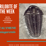 CALYMENE niagarensis Carries Commonality to Unique Localities