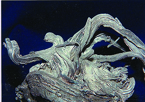 kongsberg native silver specimen with thick twisted silver crystals