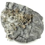 Spectacular Native Silver: Rarer Than Gold native silver from Kongsberg/ Norway isolated on white background