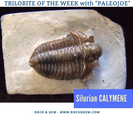 TrilobiteWeek 0119 TribWeek 0119