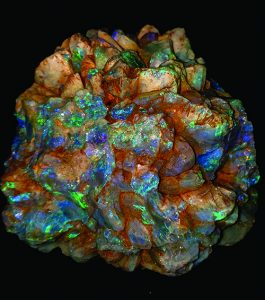 Rare opal pineapple