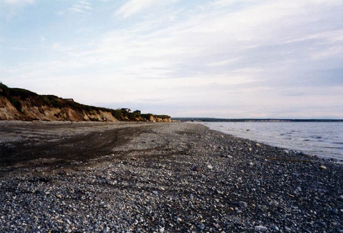 BristolBay1 shore Naknek