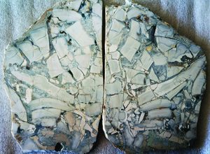 Pair of Roosevelt Dam agate slabs