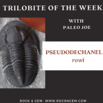 Trilobite of Week logo
