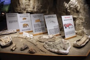 Educational display at California’s Red Rock Canyon State Park